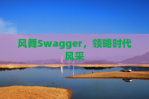 风舞Swagger，领略时代风采